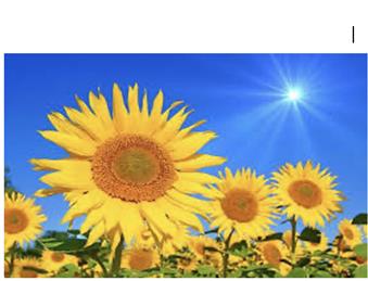 Tea and Cake and Chat - Tuesday 1st July '25